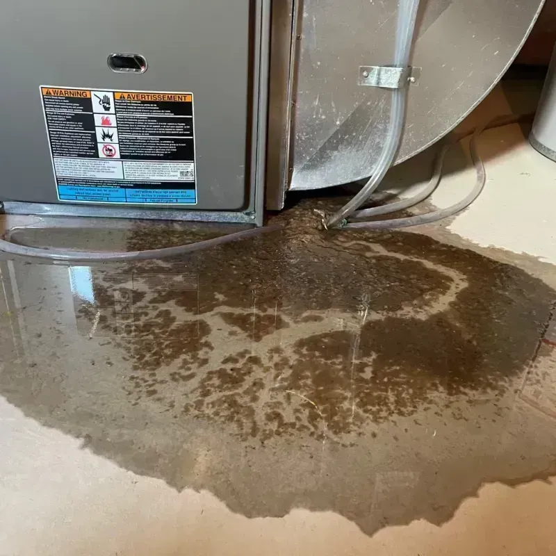 Appliance Leak Cleanup in Kissee Mills, MO